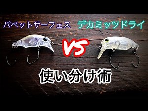 [Explanation with a pro] How to use topwater plugs [Area trout]