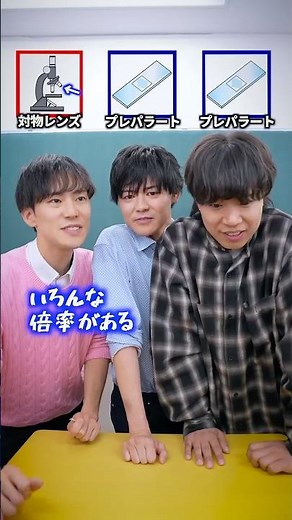 受験単語ワードウルフやってみた！ #shorts #学校 #先生