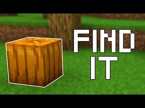 How to Find Pumpkins in Minecraft (All Versions)