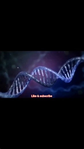 Genetics in One shot| class 12th biology in One shot| neet one shot genetics #moleculargenetics