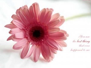 Haan Tu Hai - Jannat - Full song