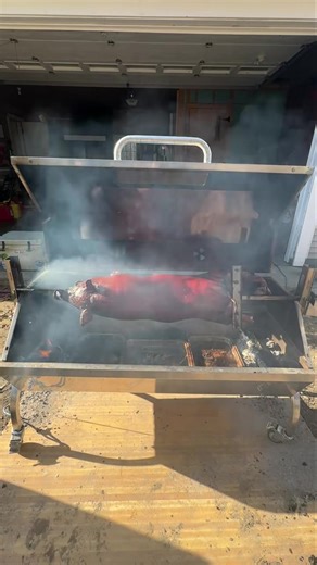 Current state of affairs! 🍖 🔥 | Armstrong Acres