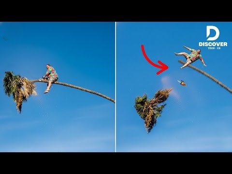 Idiots With Chainsaws - Tree Cutting Fails | Extreme Dangerous Logging Truck Fails #3