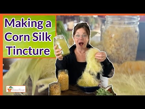 Benefits of Corn Silk and How to Make a Corn Silk Tincture