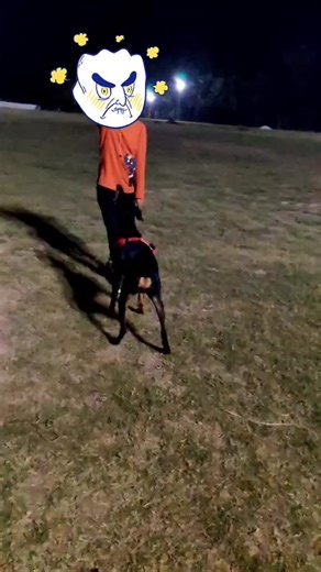 WILLIAMS TATTOOS (@williamstattoos)’s videos with Tera Baap Aaya - Farhad Bhiwandiwala & Vikram Montrose