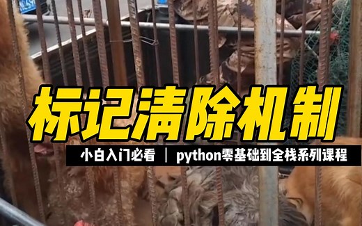 标记清除机制 - 《python零基础到全栈系列》