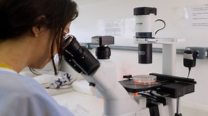 Evaluation of Substrate Ubiquitylation by E3 Ubiquitin-ligase in Mammalian Cell Lysates