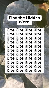 146K views · 1.9K reactions | Find the Hidden Word #brainteaser #search #find | MM Production | Facebook