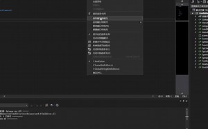 VisualStudio编译&运行&发布C#工程
