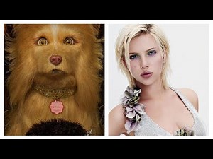 Isle of Dogs Voice Actors Behind the Scenes 2018
