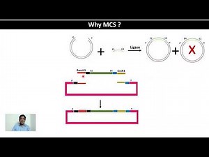 GE4 - Recombinant DNA Technology #cloning #vector #insert #transformation #selection #rdt
