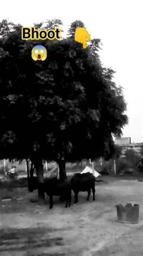 camere mein bhoot record Ho Gaya 😱😰 #bhoot shorts #horror #youtubeshorts
