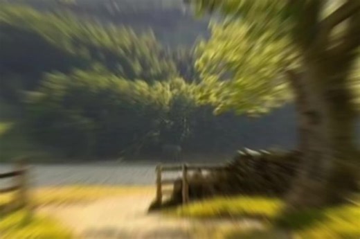 Treehouse - Alex g #threehouse #alexg #musicforyoumood #threehouse__