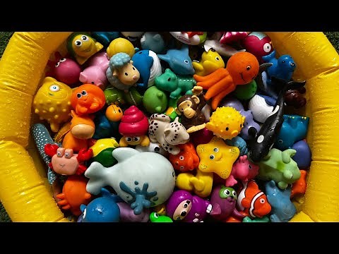LEARN SEA ANIMAL NAMES AND FACTS WITH TOYS| LEARN SEA ANIMAL NAMES AND FACTS with WATER TOYS!
