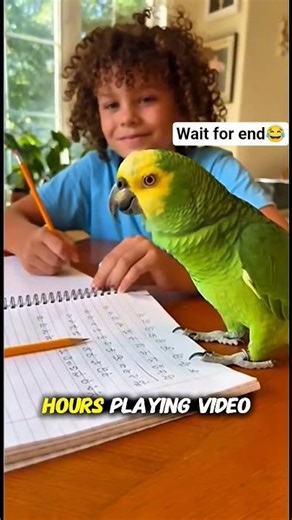 Savage Parrot ROASTS Kid Over Math Homework 🤣 #funny #parrot #shorts