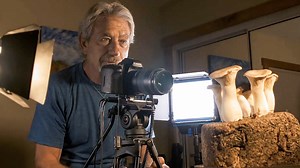 How Mushroom Time-Lapses Are Filmed: A Glimpse Into the Pioneering Time-Lapse Cinematography Behind the Netflix Documentary Fantastic Fungi