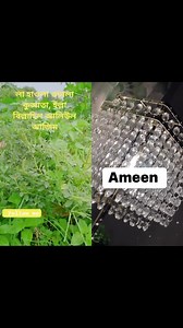 26K views · 1.7K reactions | #dua | ALL IN ONE | Facebook