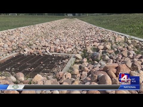 Local landscapers provide advice for reducing water use in your yard