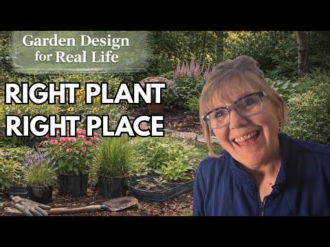 How to Pick the Right Plant for the Right Spot-Part 3