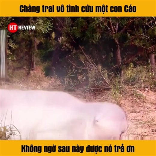 top phim hay #movie #phimhaymoinhat #top5 #top1 #lovefilm #moviereview #rewiewphim #tik_tok #phimhay #phim