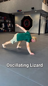 18K views · 290 reactions | Oscillating Lizard Crawl – High & Low! Master the lizard crawl at Movement20XX.com | VAHVA Fitness | Facebook
