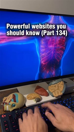 Viliche Andrei | 🧬 Explore the human body in stunning 3D: interactive, detailed & mind-blowing! #websites #powerfulwebsites #anatomy #biology #humanbody... | Instagram