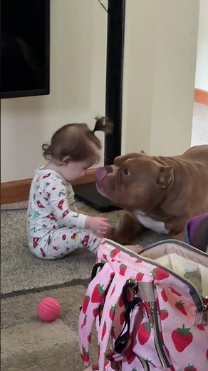 Toddler Kisses Puppy and Gets Kisses Right Back