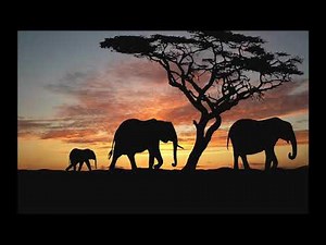 SPM - The S.O.N. (Lyrics & 432Hz)