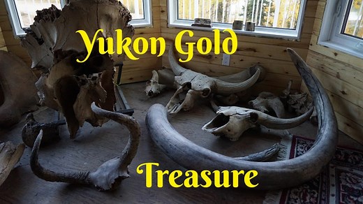 Dawson City Gold Rush: The Untold Beginnings