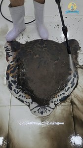 942K views · 5.1K reactions | Relaxing cleaning perfect result #fblifestyle #carpetcleaning #fblifestyle #ASMR | Magnus Rug Cleaning | Facebook