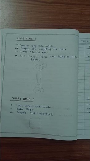 ☑️🦴📙Skeletal system (Bone and types of bone)