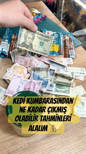 Sokak hayvanları kumbarasından ne kadar çıktı 💰 #sokakhayvanları#kedi#köpek#cat#dog#shorst#keşfet