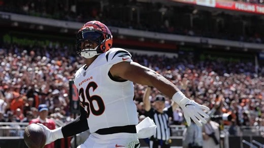 Bengals tight end Noah Fant injures ankle vs Ravens in NFL Week 15