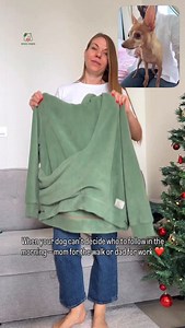 1.8K views · 1K reactions | Morning chaos, but the sweetest kind. I...