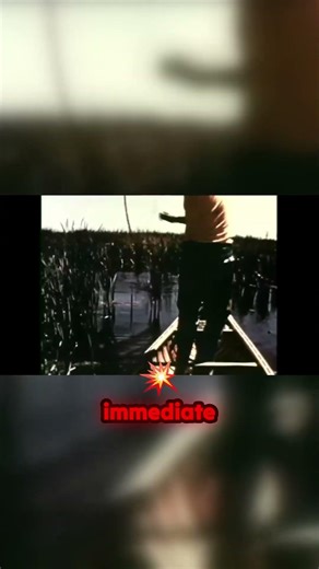 Why your bow fishing shots are missing the mark (Physics reveal!)