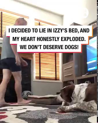 I did not expect this to happen 😂🐶 | Lessons Learned In Life