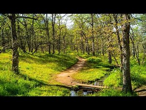 Memaloose Hills Trail Hike in 8K | Oregon's Wildflower Paradise with Real Nature Sounds