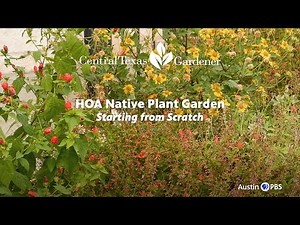 Native Plant Garden from Scratch in HOA: Kathleen Scott | Central Texas Gardener