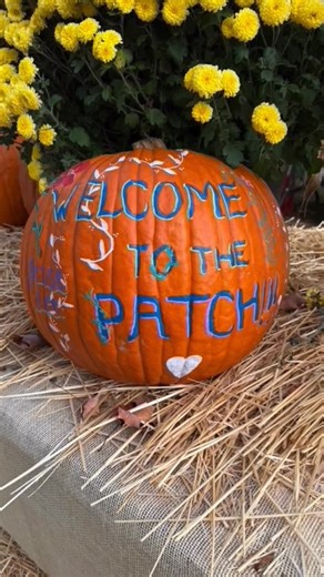 The Jesse Lee Pumpkin Patch is open weekdays 2:00-6:00 and weekends 10:00-6:00 through the end of October or until we sell out! See you in the Patch!  | Jesse Lee Memorial United Methodist Church | Facebook