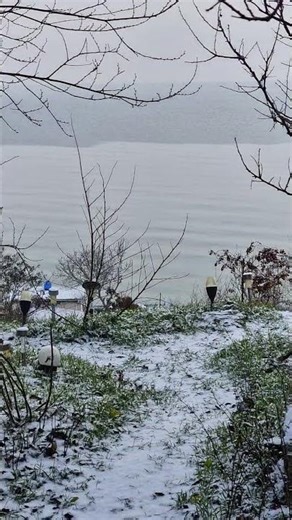 The sea during frost and snowfall.