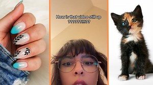 The new nails and kitty TikTok video, explained