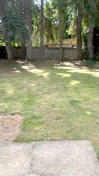 2-Bed Townhouse with Fenced Yard + Oversized Windows in Bothell