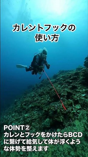[Passionate Diving Shorts] How to use a current hook #shorts #Tarama Island #divng #diving technique