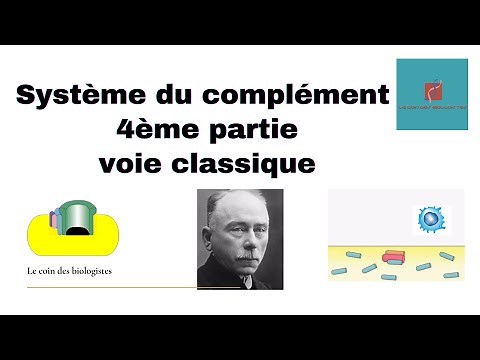 Système du complément 4ème partie voie classique