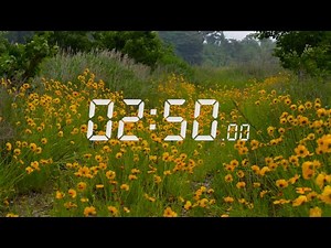 CO2 Tolerance Training - 2:50 breath holds