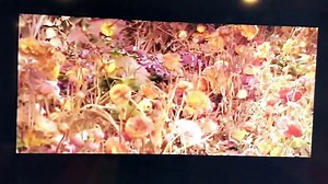 Mrs. Doubtfire Final Deleted Scenes