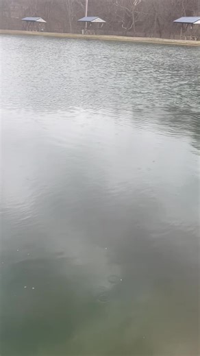 We just loaded 350 lbs of rainbow in Lake 2. These were bigger than the recent stockings, and nice fish! We normally are open 8:00 am till dark but with the incoming weather, times may change. Call the Baithouse at (740) 867-3474 for hours, due to the inbound weather. | Sky Lake