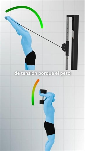 Triceps extension behind the neck