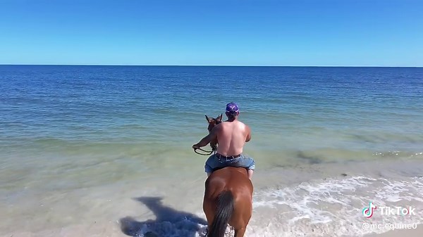 Understanding Bold Ponies in Horsemanship