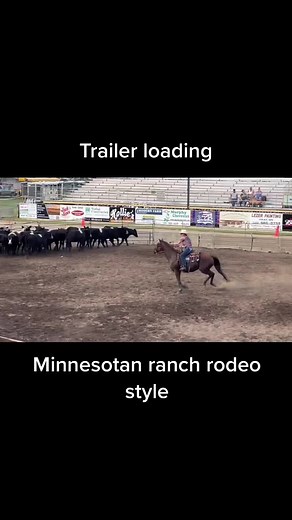 Ranch rodeo trailer loading in Minnesota #ranchrodeo #trailerloading #ranch #rodeo #rodeotok #fyp #winning